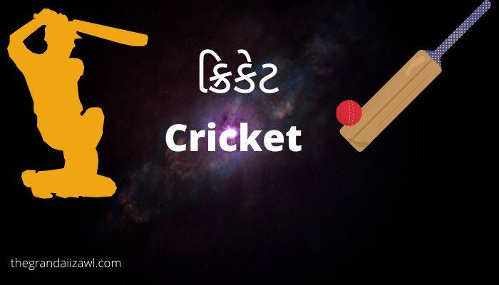 મારી પસંદગીની રમત ક્રિકેટ પર નિબંધ  My Favourite Sport Cricket Essay in Gujarati