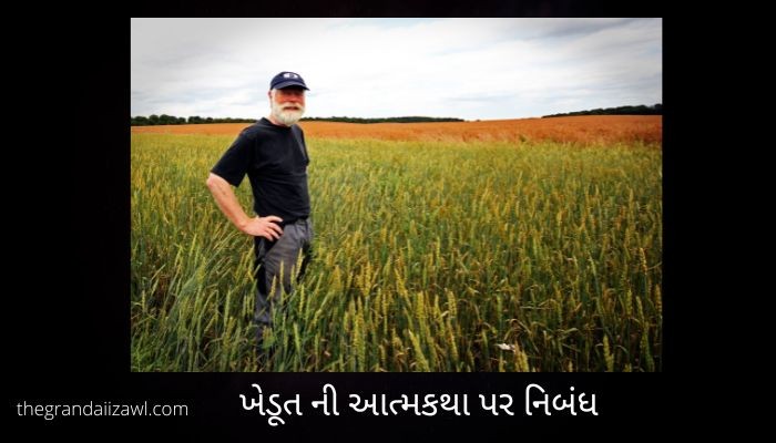Autobiography Of A Farmer Essay In Gujarati 2022 ખેડૂત ની આત્મકથા પર નિબંધ