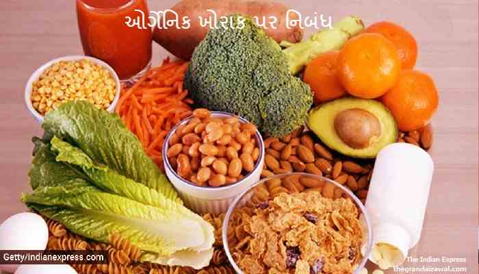 organic food Essay In Gujarati 2022 ઓર્ગેનિક ખોરાક પર નિબંધ