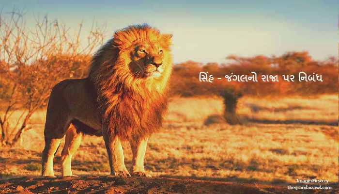 Lion -The King Of Jungle Essay In Gujarati 2022 સિંહ - જંગલનો રાજા પર નિબંધ