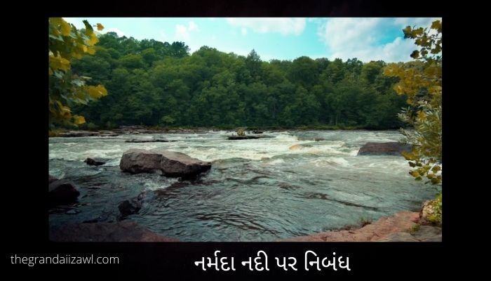 નર્મદા નદી પર નિબંધ Narmada River Essay In Gujarati