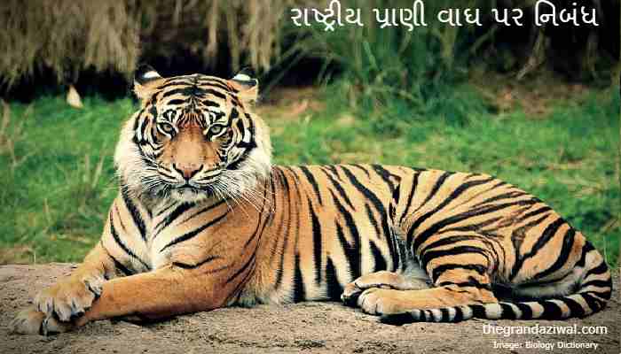 National Animal Tiger Essay In Gujarati 2022 રાષ્ટ્રીય પ્રાણી વાઘ પર નિબંધ