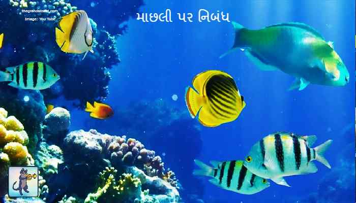 Fish Essay In Gujarati 2022 માછલી પર નિબંધ