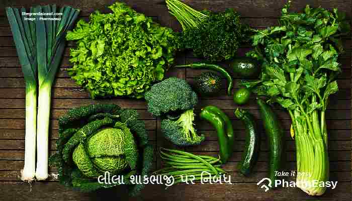Green Vegetables Essay In Gujarati 2022 લીલા શાકભાજી પર નિબંધ