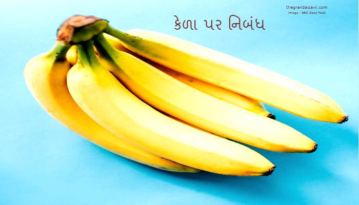 Banana Essay In Gujarati 2022 કેળા પર નિબંધ