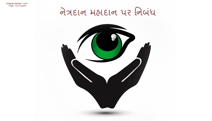 Eye Donation Essay In Gujarati 2022 નેત્રદાન મહાદાન પર નિબંધ