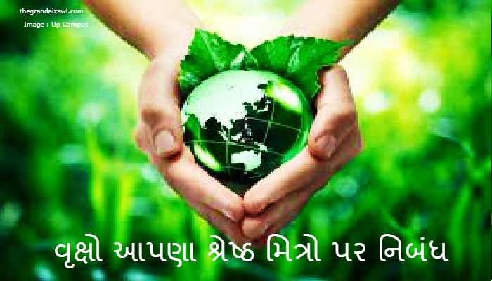 Trees Are Our Best Friends Essay In Gujarati 2022 વૃક્ષો આપણા શ્રેષ્ઠ મિત્રો પર નિબંધ