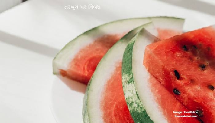 Watermelon Essay In Gujarati 2023 તરબૂચ પર નિબંધ