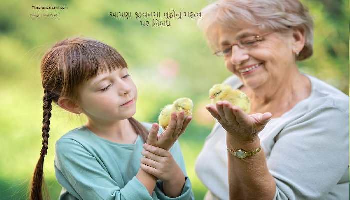 Importance of Elder In Our Life Essay In Gujarati 2023 આપણા જીવનમાં વૃદ્ધોનું મહત્વ પર નિબંધ