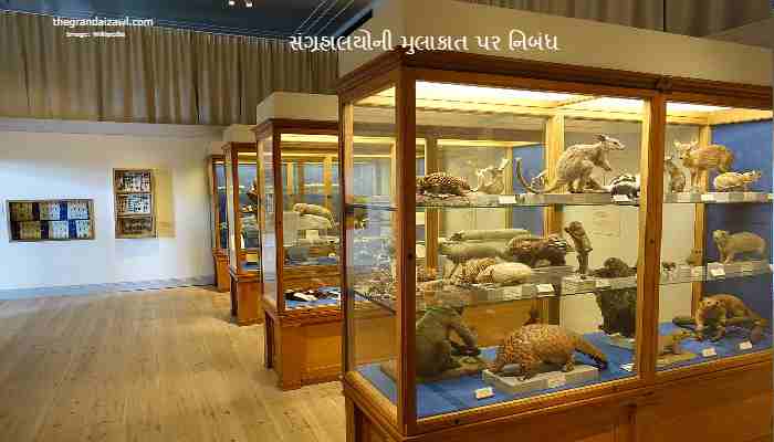 Visit To A Museum Essay In Gujarati 2023 સંગ્રહાલયોની મુલાકાત પર નિબંધ