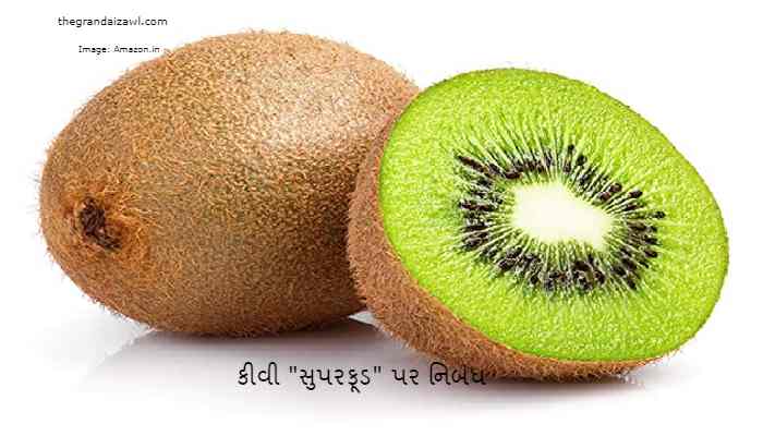 Kiwi (Super Fruit) Essay In Gujarati 2023 કીવી "સુપરફૂડ" પર નિબંધ