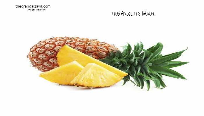 Pineapple Essay In Gujarati 2023 પાઈનેપલ પર નિબંધ