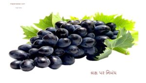 sharad seedless grapes 1 kg product images o590000452 p590116963 0 202203171004