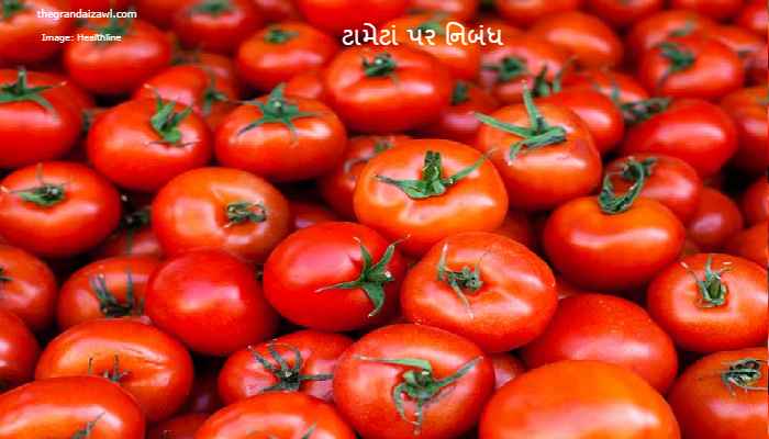 Tomatoes Essay In Gujarati 2023 ટામેટાં પર નિબંધ