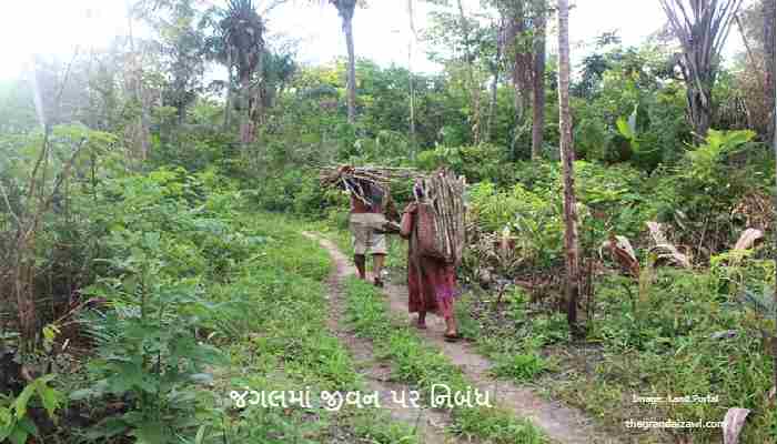 Life in the Forest Essay In Gujarati 2023 જંગલમાં જીવન પર નિબંધ