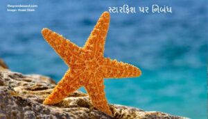 starfish symbolism spiritual Meanings Powers