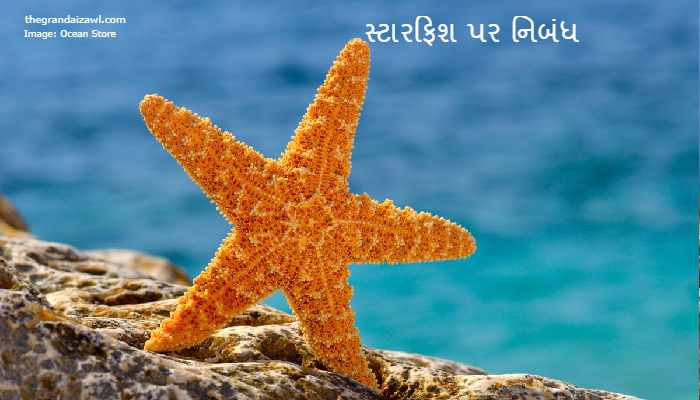 Star Fish Essay In Gujarati 2023 સ્ટારફિશ પર નિબંધ