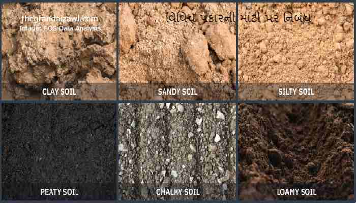 Different Type Of Soil Essay In Gujarati 2023 વિવિધ પ્રકારની માટી પર નિબંધ