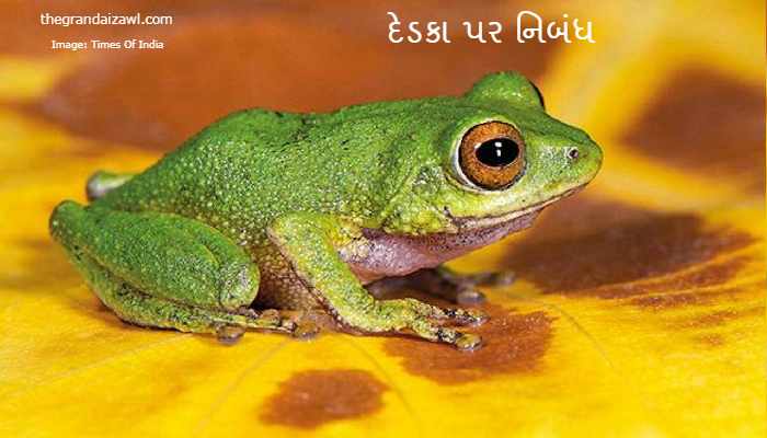 The Frog Essay In Gujarati 2023 દેડકા પર નિબંધ