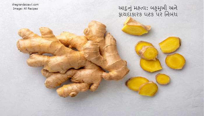 The Importance of Ginger: A Versatile and Beneficial Ingredient Essay In Gujarati 2023 આદુનું મહત્વ: બહુમુખી અને ફાયદાકારક ઘટક પર નિબંધ