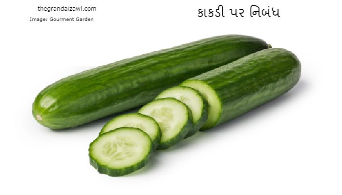 The Cucumbers Essay In Gujarati 2023 કાકડી પર નિબંધ