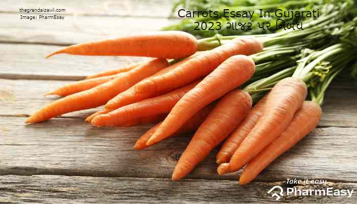 Carrots Essay In Gujarati 2023 ગાજર પર નિબંધ