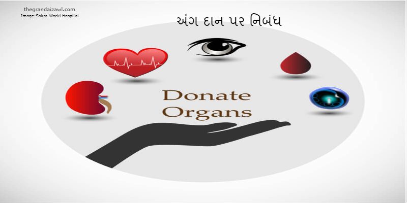 Organ Donation Essay In Gujarati 2023 અંગ દાન પર નિબંધ