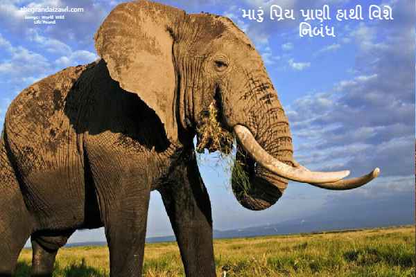 My Favorite Animal -Elephant Essay In Gujarati 2023 મારું પ્રિય પ્રાણી હાથી વિશે નિબંધ