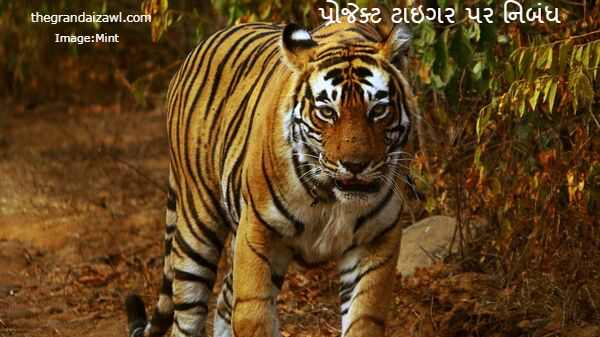 Project Tiger Essay In Gujarati 2023 પ્રોજેક્ટ ટાઇગર પર નિબંધ
