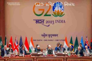11 g20 summit india day 1