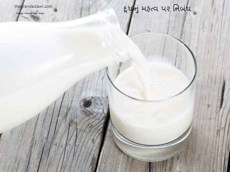 Importance Of Milk Essay In Gujarati 2023 દૂધનું મહત્વ પર નિબંધ
