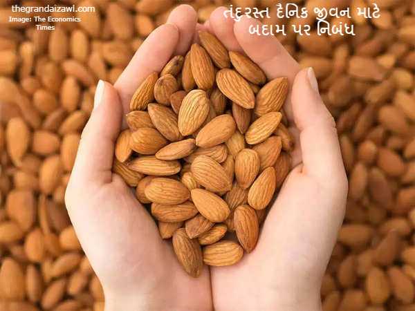 Almonds For Healthy Daily Life Essay In Gujarati 2023 તંદુરસ્ત દૈનિક જીવન માટે બદામ પર નિબંધ