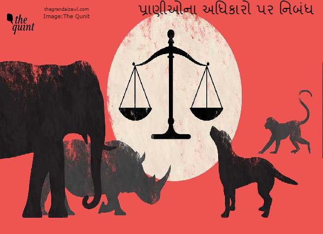 Animal Rights Essay In Gujarati 2023 પ્રાણીઓના અધિકારો પર નિબંધ