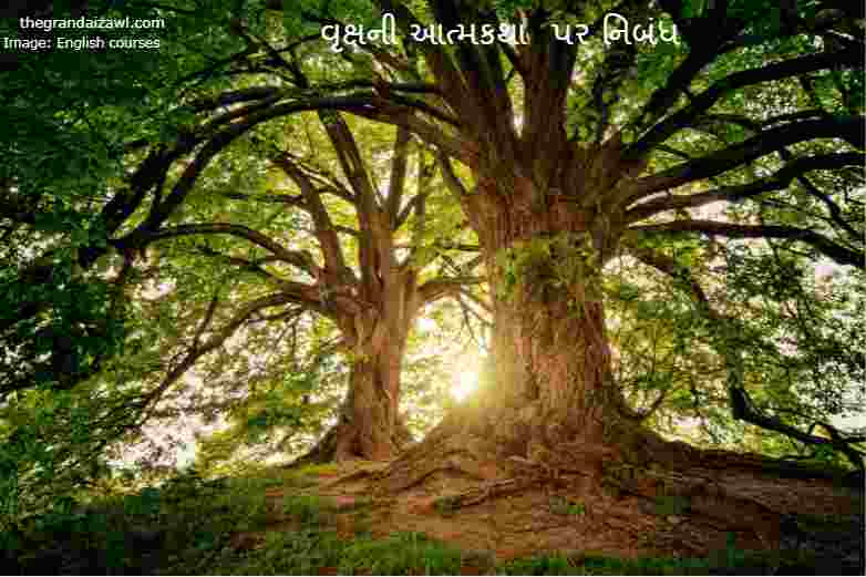 Autobiography Of A Tree Essay In Gujarati 2023 વૃક્ષની આત્મકથા  પર નિબંધ
